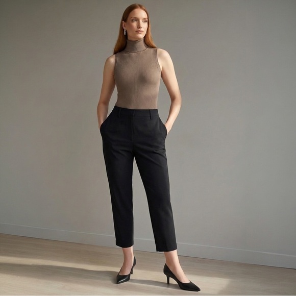 Everlane The Poplin Pleated Taper Pant in Black Size 6 - Picture 1 of 9